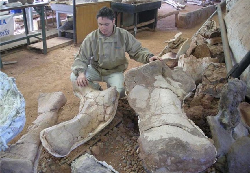 Найден новый вид титанозавров