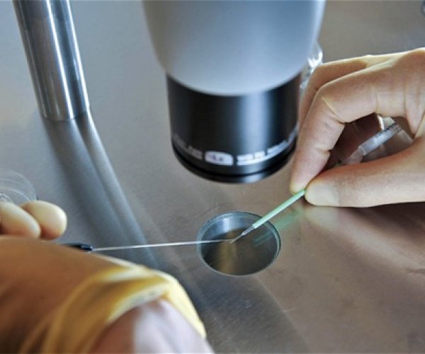 Американцы предлагают проводить «генетическую чистку» эмбрионов