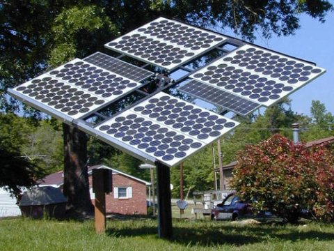 Живые системы будут использоваться для создания солнечных батарей