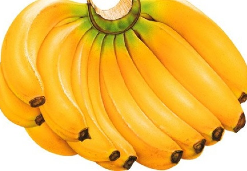 Американцы вывели новый сорт бананов