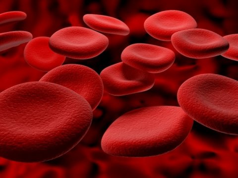 Канадские ученые научились конвертировать кровь