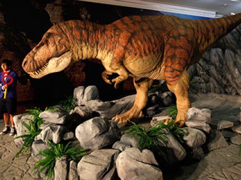Секрет господства тираннозавров раскрыли ученые