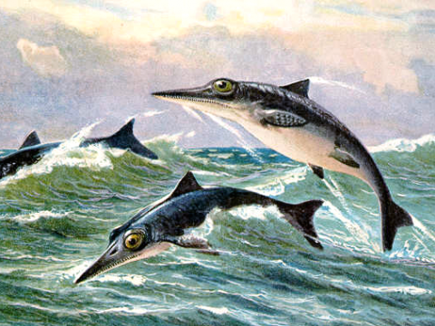 В триасовом периоде в морях властвовали не ихтиозавры