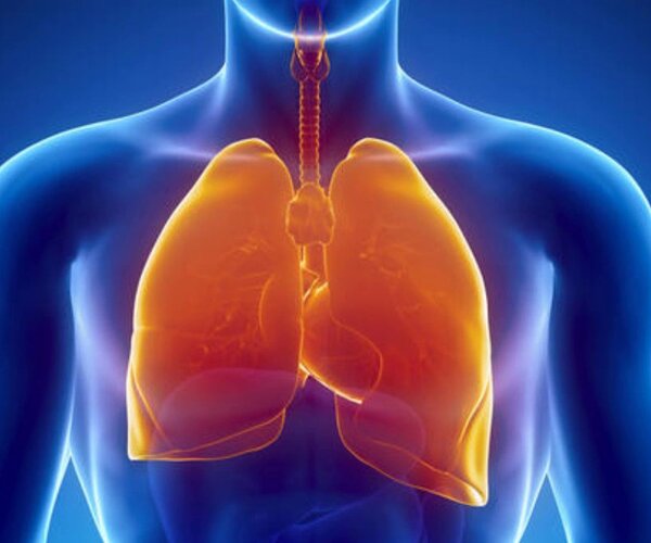 Лекция 7. Дыхательная система человека