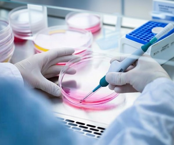 Метаболическая ловушка: как блокировка одного фермента лишает рак крови способности синтезировать ДНК