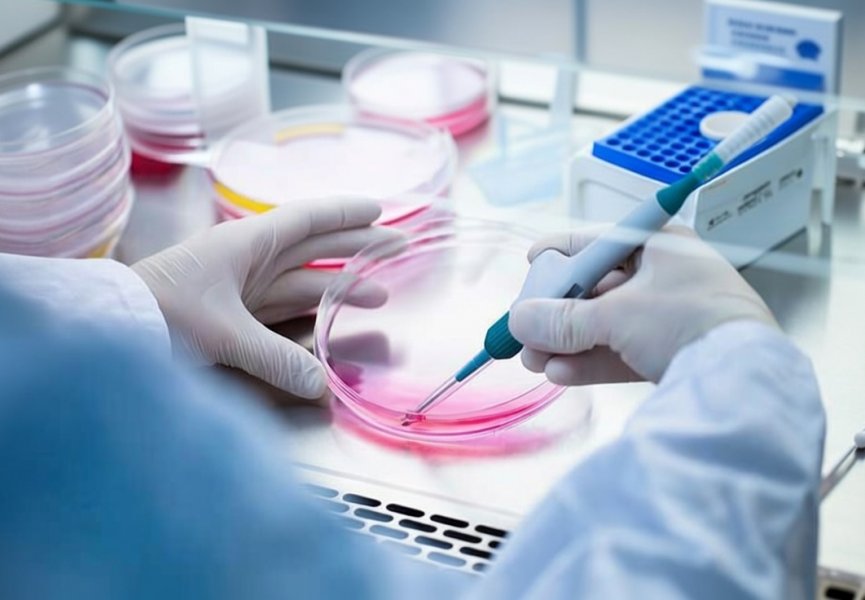 Метаболическая ловушка: как блокировка одного фермента лишает рак крови способности синтезировать ДНК