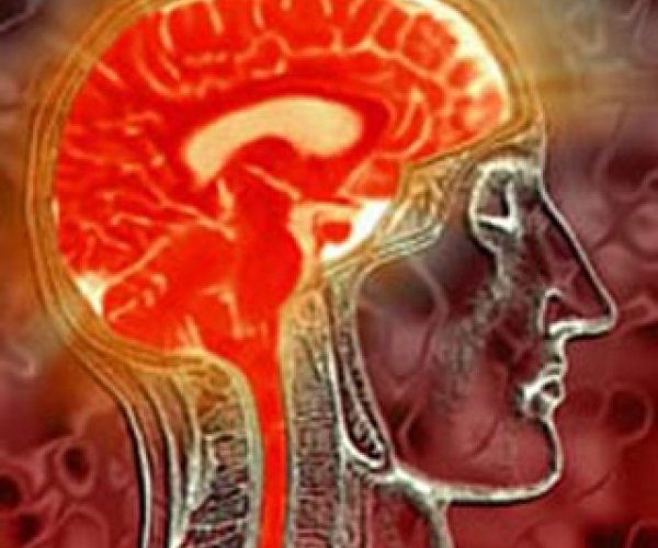 Генетические изменения впервые удалось связать с размерами головного мозга