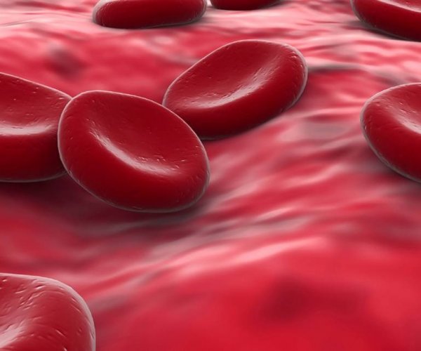 Ученые объяснили механизм свертывания крови