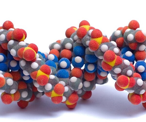 Ученые выделили универсальный белок-активатор