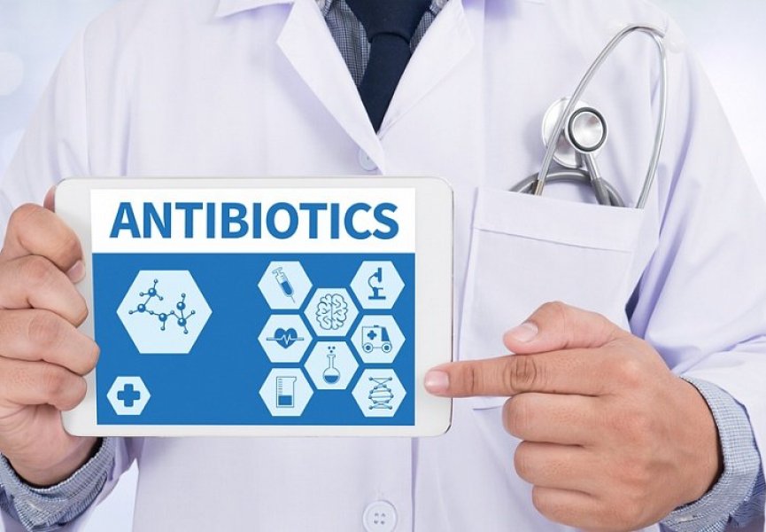 Нематоды стали источником нового класса антибиотиков
