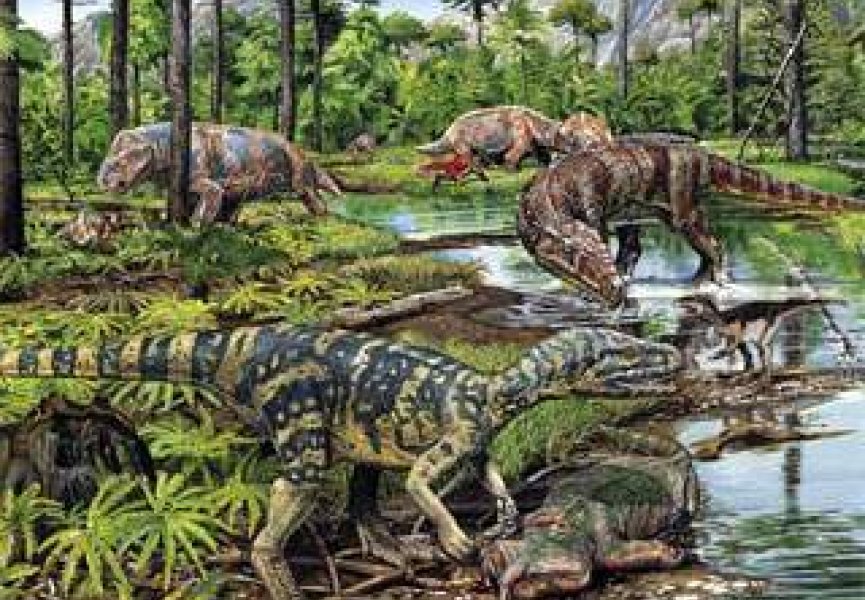 Бурное развитие флоры и фауны началось 90 млн лет назад