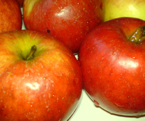 Выявлен биологический механизм, приводящий к увеличению размера яблок