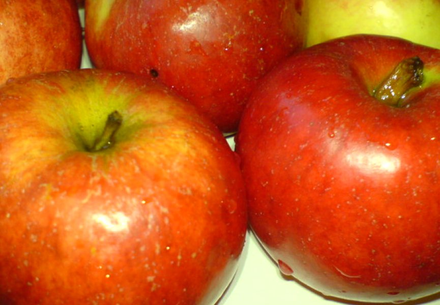 Выявлен биологический механизм, приводящий к увеличению размера яблок