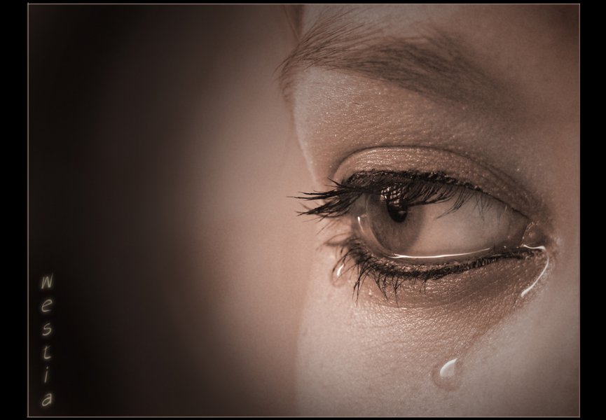 В женских слезах содержится 