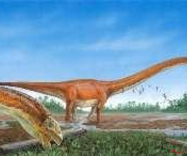 В Китае обнаружены останки беременного динозавра