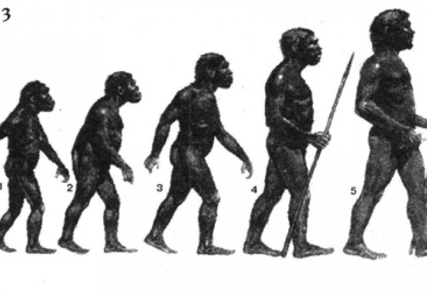 Представления об эволюции человека могут быть ошибочными