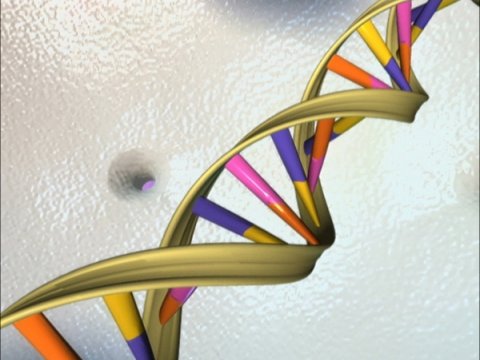 Масштабный проект по изучению генома человека завершился неудачей