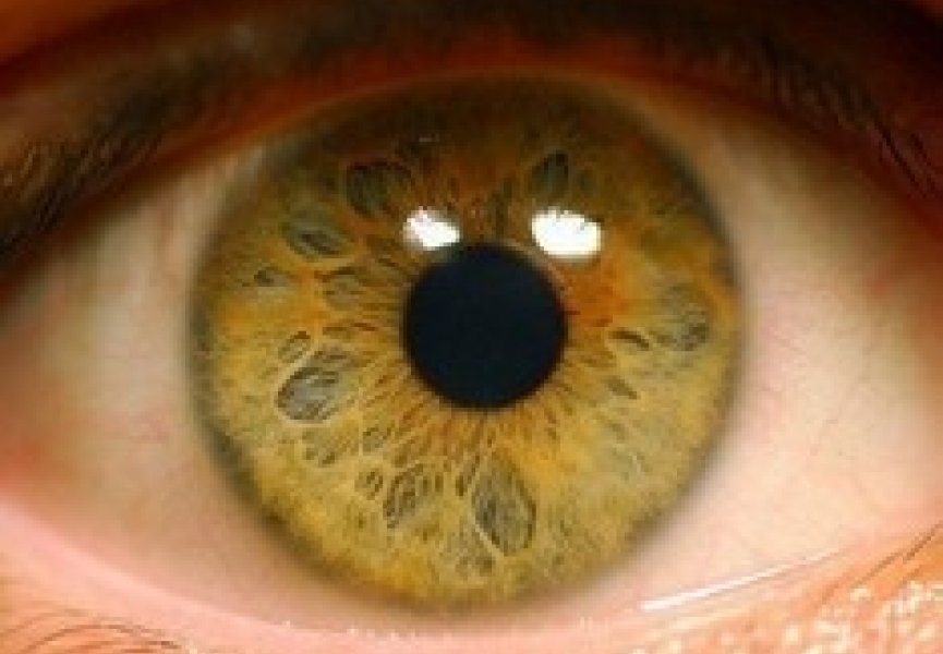 Стволовые клетки помогут вылечить повреждения глаз, полученные при ожогах
