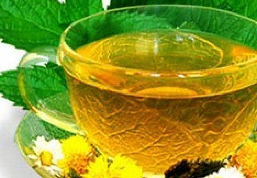 Зеленый чай защищает от свиного гриппа