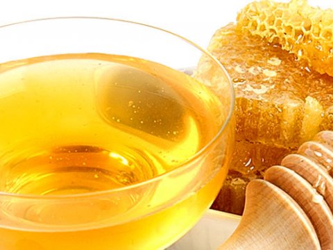 Учёные открыли секрет антибактериальных свойств мёда