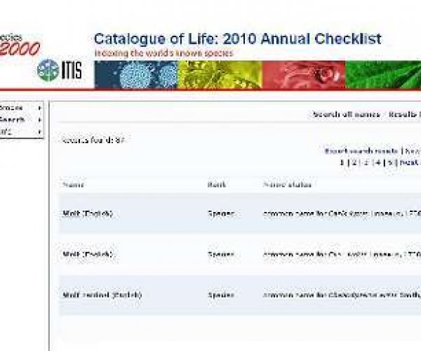Выпущен новый каталог всех известных на Земле биологических видов