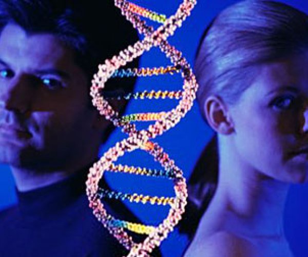 Женские и мужские хромосомы меняются генами