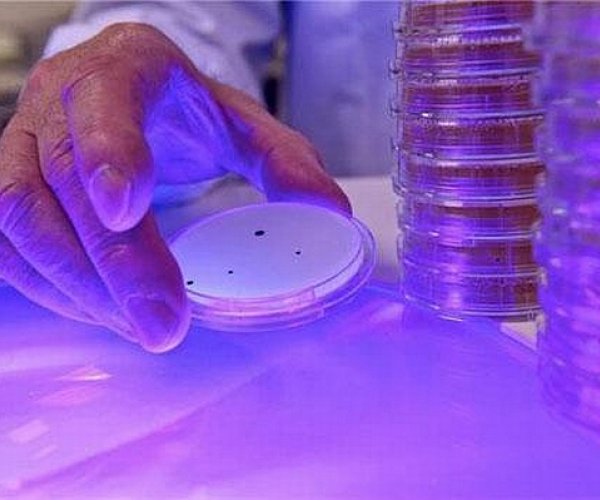 Ученые разработали метод стерилизации видимым светом