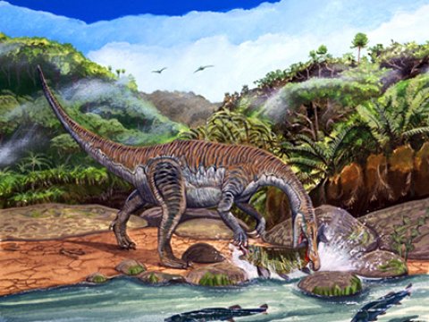 Некоторые тероподные динозавры вели полуводный образ жизни