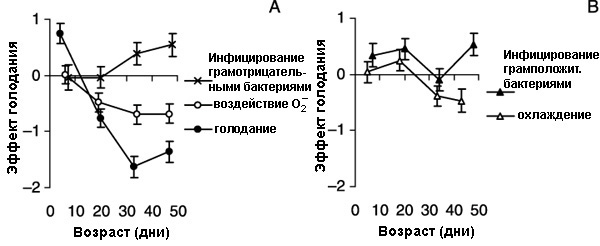 Графики показывают, как соотносятся различные физиологические показатели устойчивости мушек, содержавшихся на обычном и урезанном в два раза рационе. По оси ординат отложен показатель отношения устойчивости нормально питающихся мушек к устойчивости малоежек. Устойчивость оценивали по доле умерших мушек. Поэтому график в положительной области означает, что нормально питающиеся мушки при тех или иных стрессах умирают чаще, чем малоежки. Как мы видим, графики для старших возрастных групп уходят в отрицательную область. Следовательно, мухи-малоежки с возрастом труднее переносят стрессовые воздействия. Это не относится к устойчивости к бактериям — у малоежек она с возрастом увеличивается. (График из цитируемой статьи в Aging Cell)